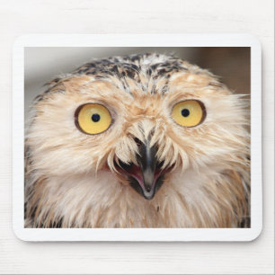 Snowy Owl Mouse Pad