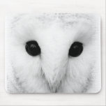 Snowy Owl Mouse Pad