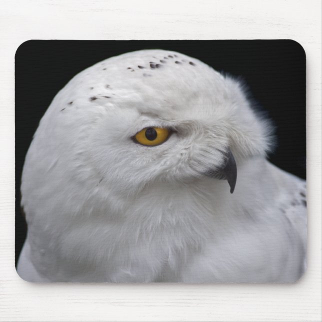 Snowy Owl Mousemat Mouse Pad (Front)