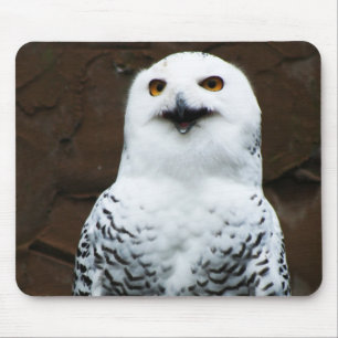 Snowy Owl mpcnm Mouse Pad