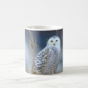 Snowy Owl Mug