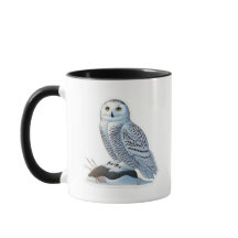 Snowy Owl Mug – Arctic Elegance in Every Sip