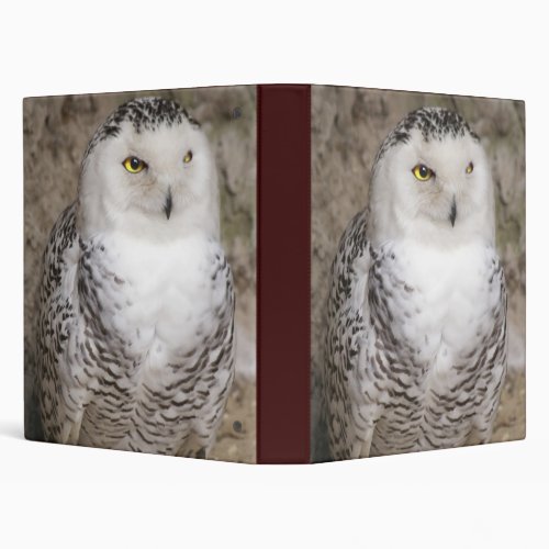 Snowy Owl Notebook Binder