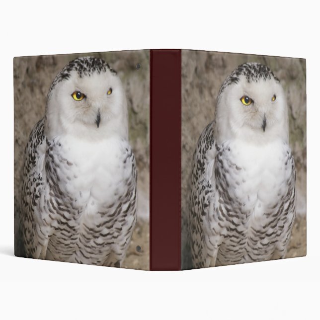 Snowy Owl Notebook Binder (Background)