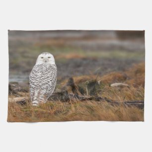 Snowy Owl on a log Kitchen Towel