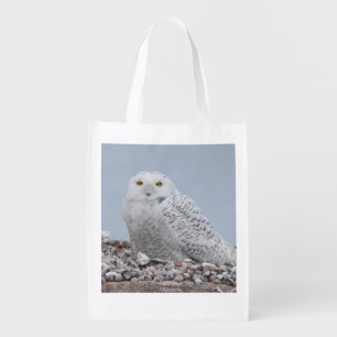 Snowy Owl on shells Grocery Bag