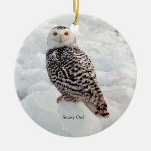 Snowy Owl ornament