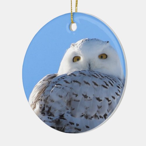 Snowy Owl Ornament