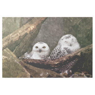 Snowy Owl Pair Woodland Wildlife Art