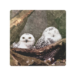 Snowy Owl Pair Woodland Wildlife Art