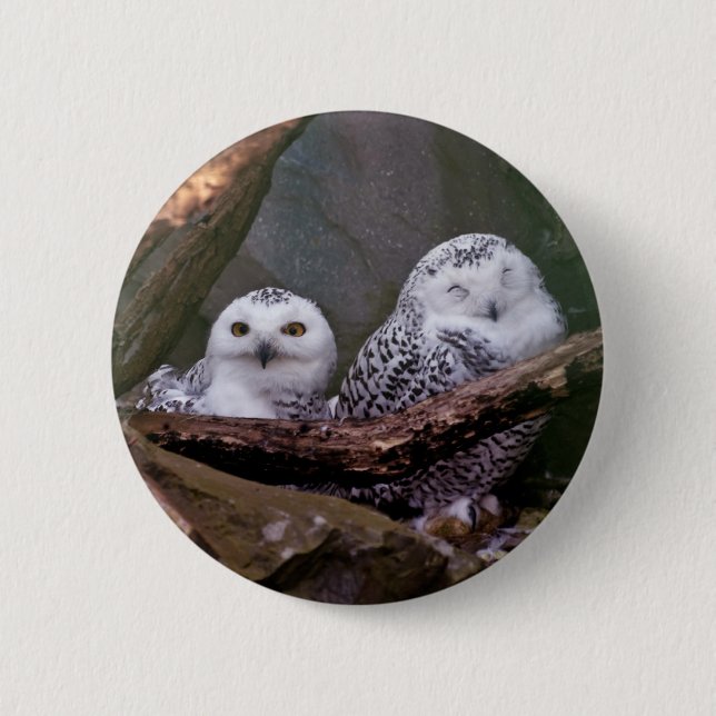 Snowy Owl Pair Woodland Wildlife Art Button (Front)