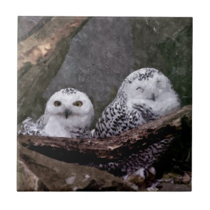 Snowy Owl Pair Woodland Wildlife Art Ceramic Tile