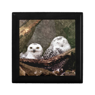Snowy Owl Pair Woodland Wildlife Art Gift Box