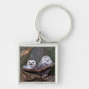 Snowy Owl Pair Woodland Wildlife Art Keychain