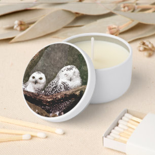 Snowy Owl Pair Woodland Wildlife Art Mini Candle Favors