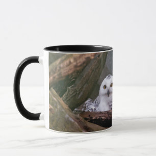 Snowy Owl Pair Woodland Wildlife Art Mug