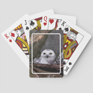 Snowy Owl Pair Woodland Wildlife Art Poker Cards