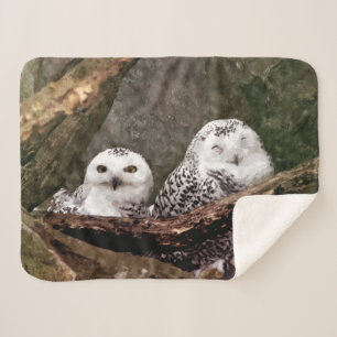 Snowy Owl Pair Woodland Wildlife Art Sherpa Blanket