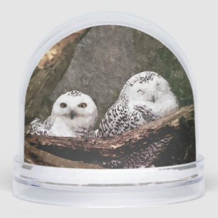 Snowy Owl Pair Woodland Wildlife Art Snow Globe