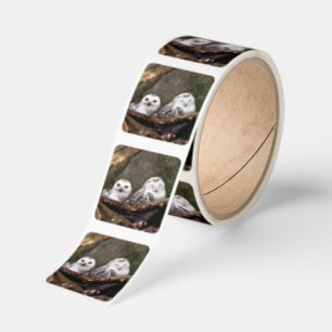 Snowy Owl Pair Woodland Wildlife Art Square Sticker