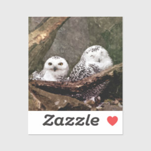 Snowy Owl Pair Woodland Wildlife Art Sticker