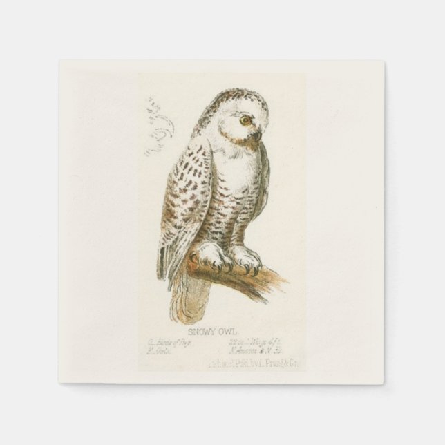 Snowy Owl Paper Napkins (Front)