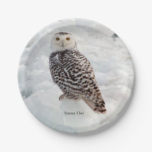 Snowy Owl paper plate
