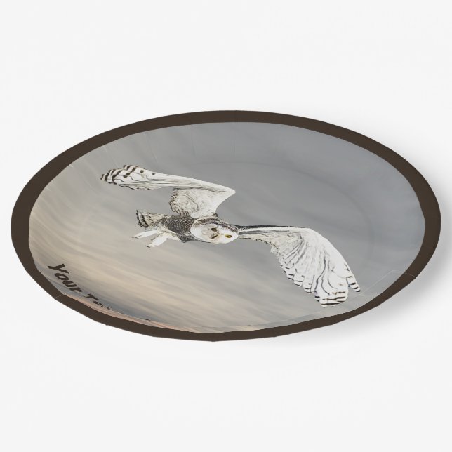 Snowy Owl Paper Plates (Angled)