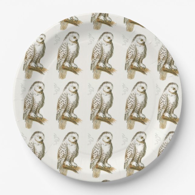 Snowy Owl Paper Plates (Front)