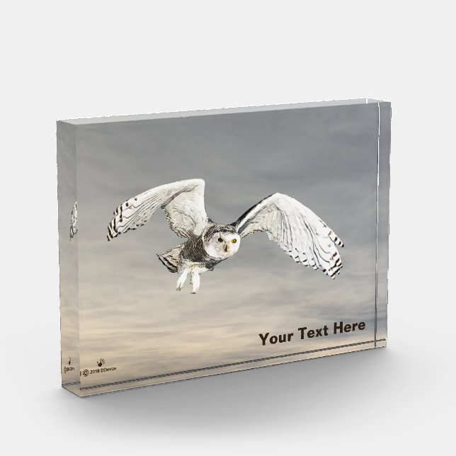 Snowy Owl Photo Block (Left)