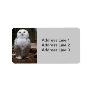 Snowy Owl  Photo Label