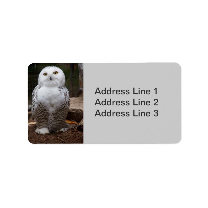 Snowy Owl  Photo Label