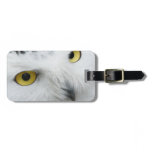 Snowy Owl Photo Luggage Tag