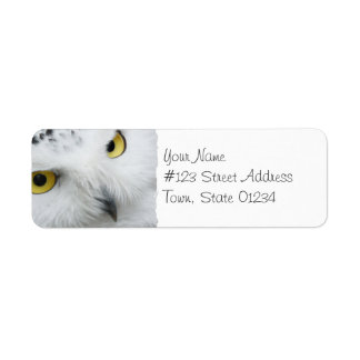 Snowy Owl Photo Mailing Labels