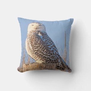 Snowy Owl - pillow