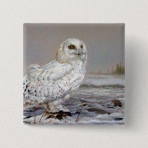 Snowy Owl Pinback Button