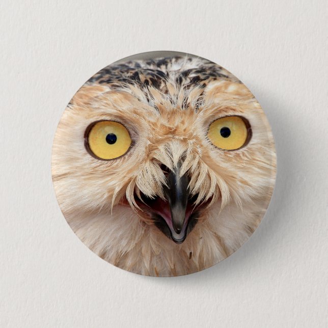Snowy Owl Pinback Button (Front)