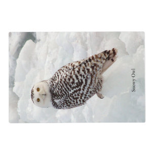 Snowy Owl placemat