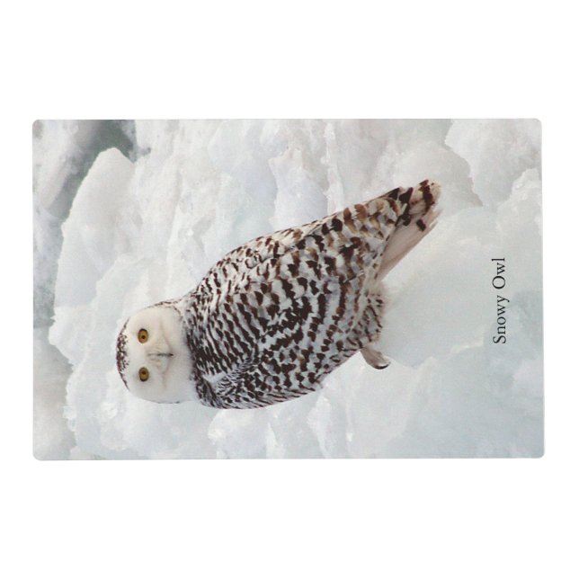 Snowy Owl placemat (Front)