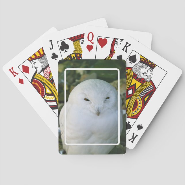 Snowy Owl Playing Cards (Back)