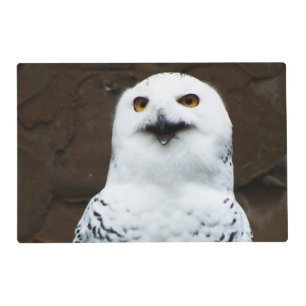 Snowy Owl pmcna Placemat