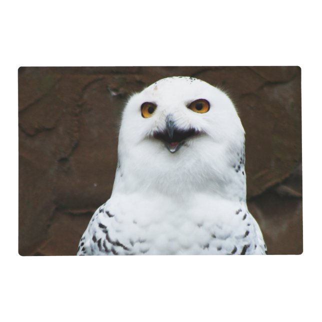 Snowy Owl pmcna Placemat (Front)