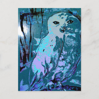 Snowy Owl postcard