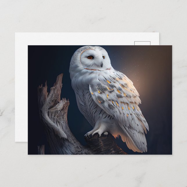 Snowy owl Postcards (Front/Back)
