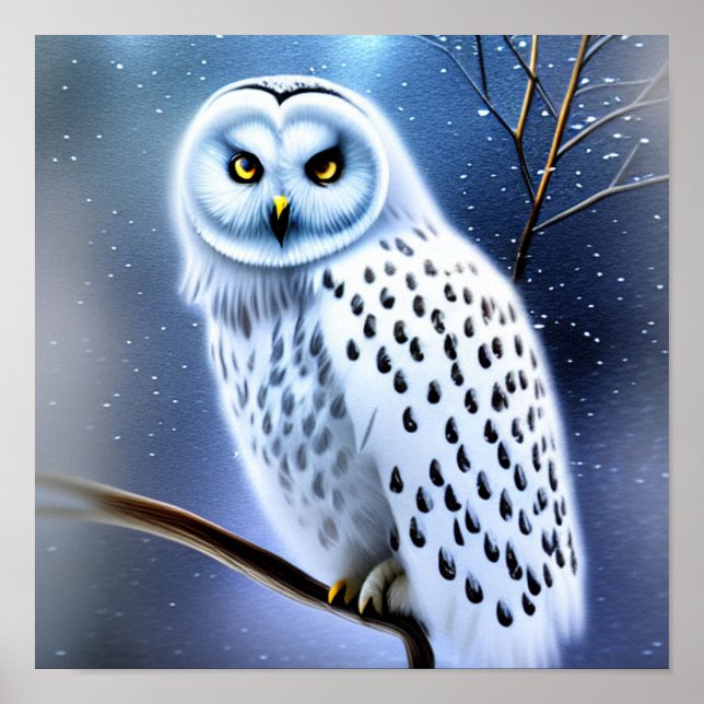 Snowy owl  poster (Front)
