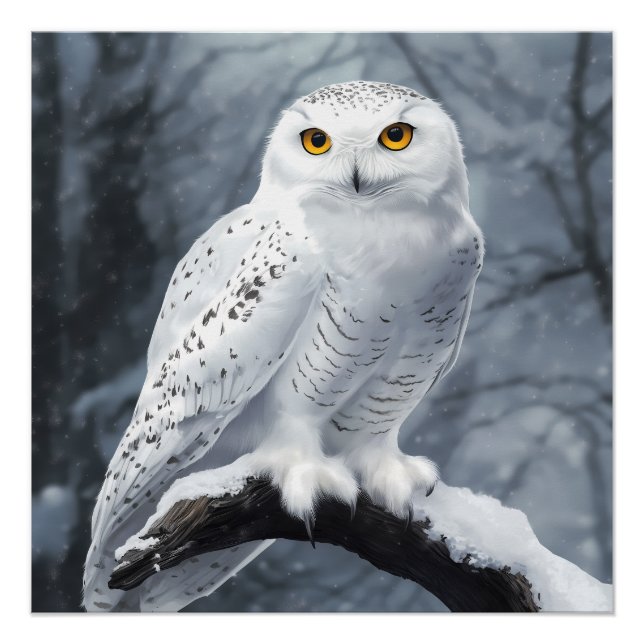 Snowy Owl Poster (Front)