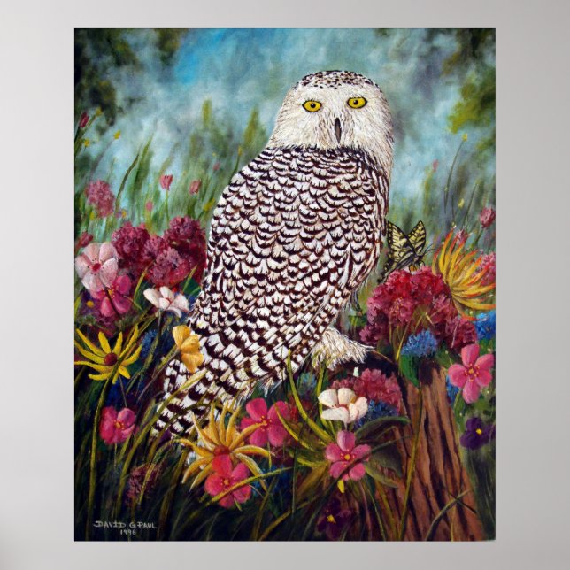 Snowy Owl Poster (Front)