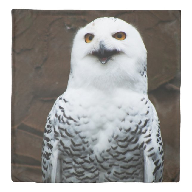 Snowy Owl qccnm Duvet Cover (Front)