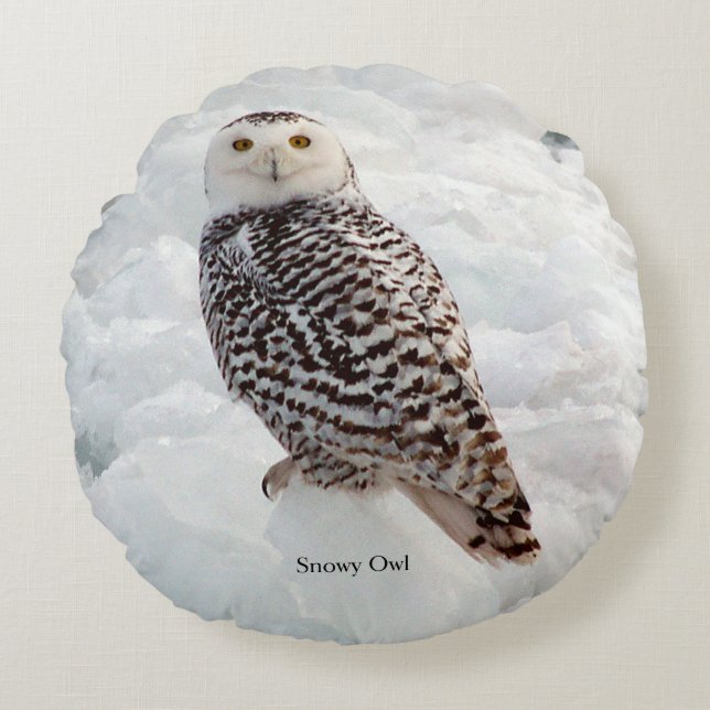 Snowy Owl round pillow (Front)