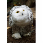 Snowy owl sculpture<br><div class="desc">snowy owl</div>